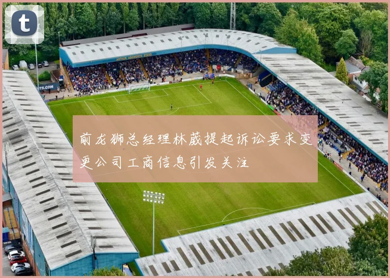 前龙狮总经理林葳提起诉讼要求变更公司工商信息引发关注