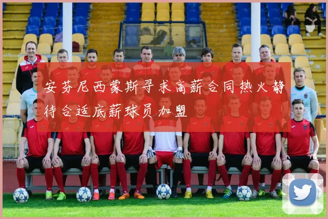 安芬尼西蒙斯寻求高薪合同热火静待合适底薪球员加盟